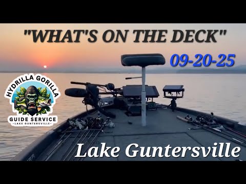 Видео: 20.09.25 «ЧТО НА ПАЛУБЕ» Отчёт о рыбалке на озере Гантерсвилл / Гидрилла Горилла Гидрилла Гидрилла