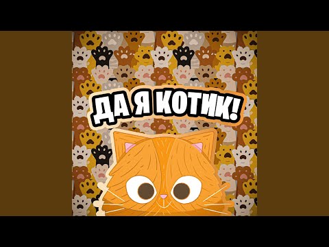 Видео: Бездомный Кот