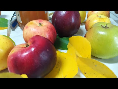 Видео: Делаем домашний яблочный уксус из яблочного пюре