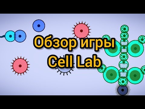 Видео: Обзор игры Cell Lab