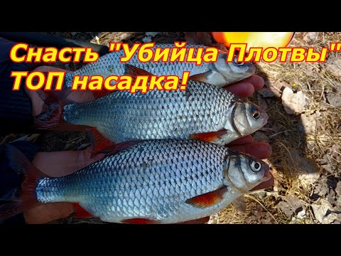 Видео: Лучшая оснастка для ловли КРУПНОЙ ПЛОТВЫ!!!