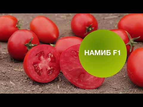 Видео: НАМИБ F1 | Овощная усадьба