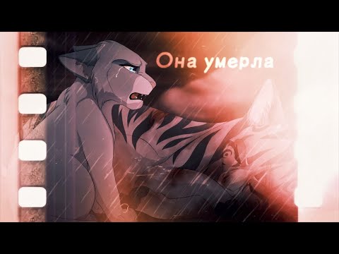 Видео: [Коты Воители] || - Синяя Звезда - || {Она умерла}