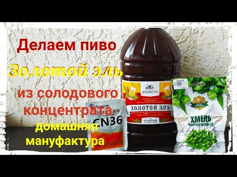 Видео: ПИВО. ПРИГОТОВЛЕНИЕ ДОМАШНЕГО ПИВО ЗОЛОТОЙ ЭЛЬ ИЗ СОЛОДОВОГО КОНЦЕНТРАТА ДОМАШНЯЯ МАНУФАКТУРА.