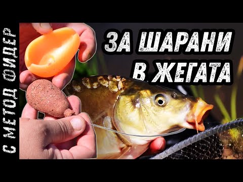 Видео: Ценни тънкости и МОНТАЖИ за ШАРАНИ на мач и фидер / За шарани в жегата