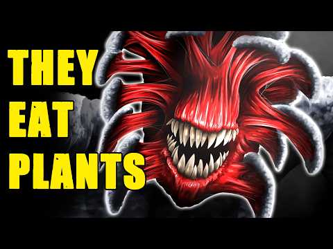 Видео: Ангелы смерти — не то, что вы думаете! | Тихое место