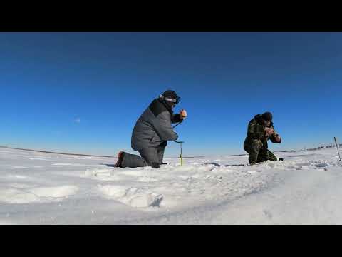 Видео: Мотобуксировщик БТС 500 Хит с двигателем Loncin 15 л.с.: первый выезд