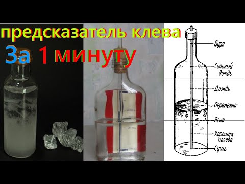 Видео: Супер Предсказатель Клева. За 1 минуту. Лайфхаки для рыбалки. советы для рыбалки