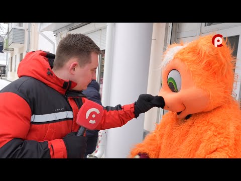 Видео: Что вижу, то пою  Выпуск №254