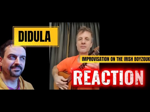 Видео: ДиДюЛя - «Импровизация на ирландской бузуки» reaction