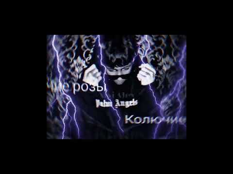 Видео: -Xisi Alex- Колючие розы ♥️🥀