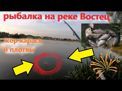 Видео: Осенний ЖОР КАРАСЯ и ПЛОТВЫ на реке Востец!!! Рыбалка в конце августа 2025 на реке Востец.
