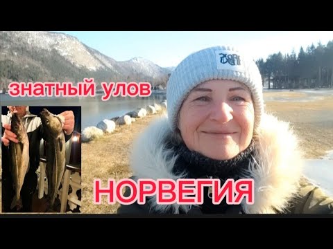 Видео: КАКОЕ ЖИЛЬЕ  В КОММУНАХ ДАЮТ В  НОРВЕГИИ 🇸🇯БЕЖЕНЦАМ.  КАК НАС ВЫРУЧИЛИ ИЗ БЕДЫ .