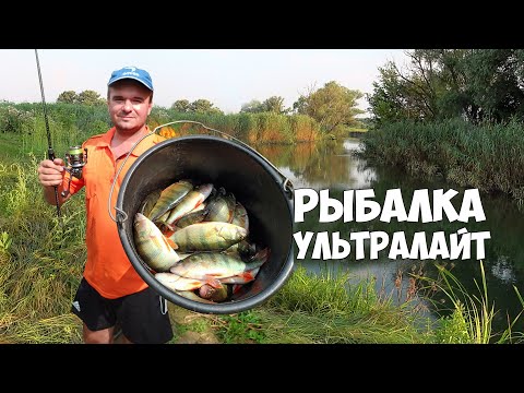 Видео: УЛЬТРАЛАЙТ РЫБАЛКА на РЕКЕ! ВЕДРО ОКУНЯ на СИЛИКОН с ХИТРОЙ ОСНАСТКОЙ