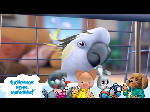Видео: СПОКОЙНОЙ НОЧИ, МАЛЫШИ! - 🐶 Енотовидная собака 🐕  Мультики для детей - Фиксики
