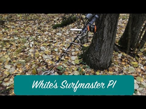 Видео: Сделай сам #8: подводник White's Surfmaster PI