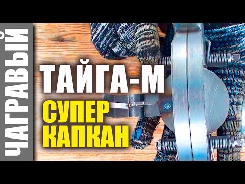 Видео: СУПЕР-КАПКАН Тайга-М, какой он?