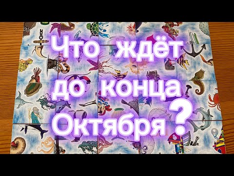 Видео: Что вас ждет до конца Октября? Гадание Oktober Prediction 