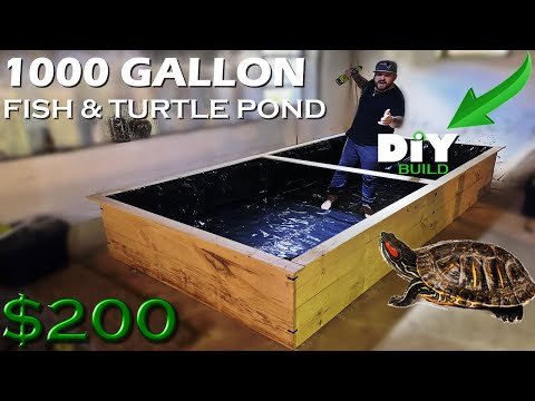 Видео: ПРУД ДЛЯ РЫБ И ЧЕРЕПАХ ЗА 200 ДОЛЛАРОВ (ДЕРЕВЯННЫЙ ПРУД ОБЪЕМОМ 1000 ГАЛЛОНОВ)