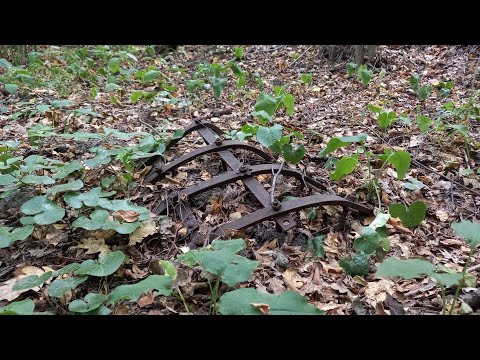 Видео: КоП вдоль скошенных полей!!!