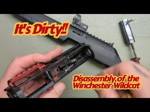 Видео: Разборка Winchester Wildcat .22LR для чистки и обслуживания
