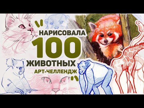 Видео: Рисую 100 ЖИВОТНЫХ за 3 ДНЯ // Арт Челлендж