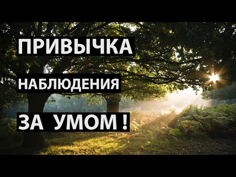 Видео: Наблюдение за содержанием ума (Лакшми, НикОшо)