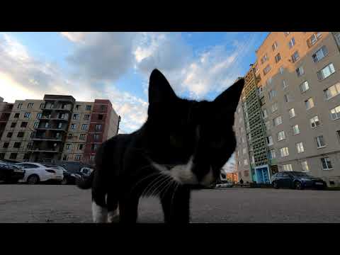 Видео: Строительство двух семиэтажек для расселения в городе Рошаль.  Cъемка FPV.