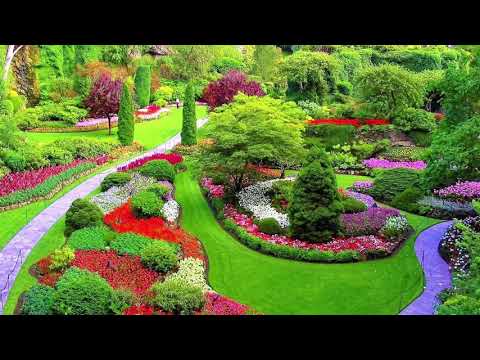 Видео: ВЪТРЕШНОТО ДЕТЕ - МЕДИТАЦИЯ