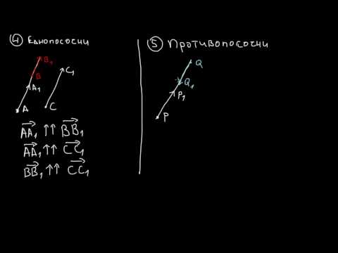 Видео: Математика 8 клас. Вектори