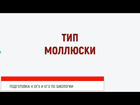 Видео: Готовимся к ОГЭ и ЕГЭ по биологии. Тип Моллюски