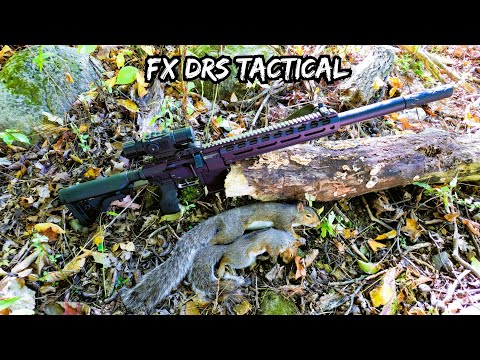 Видео: Охота на белку с FX DRS Tactical