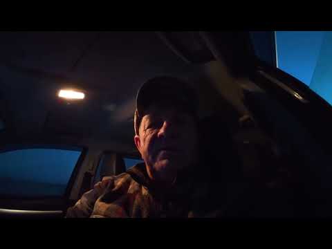 Видео: Охота с гончими 2025 26г №2