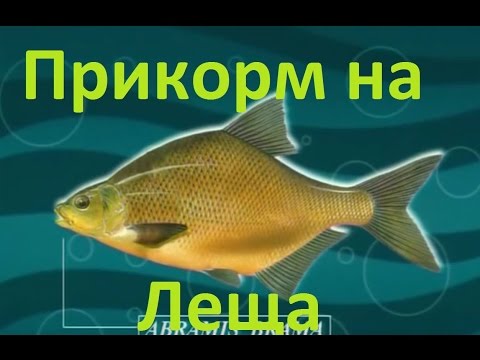 Видео: Диалоги о рыбалке - 9 - Ловим леща в разных условиях,правило прикорма.