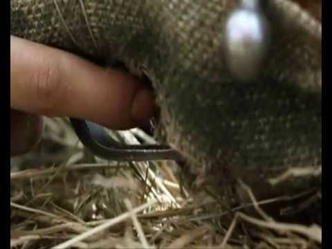 Видео: Снайперы