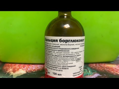 Видео: КАЛЬЦИЙ БОРГЛЮКОНАТ ДЛЯ ЦЫПЛЯТ КУР НЕСУШЕК И БРОЙЛЕРОВ ДЛЯ ПОДДЕРЖАНИЯ ЗДОРОВЬЯ ПТИЦЫ