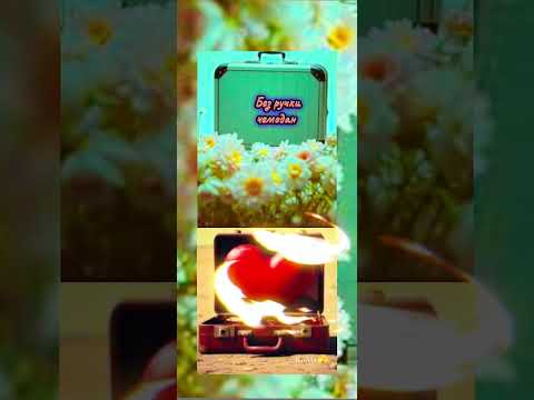Видео: Без ручки чемодан (Дать клятву 😎)* КоМа🫣#моистихи #люболь #поэзия #песня #жиза
