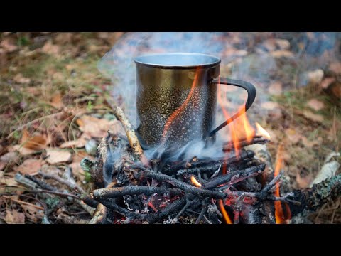 Видео: Осінній Щучий похід на ПОВЧ:Сам серед Великого Древнього Лісу.Олені перепливають річку