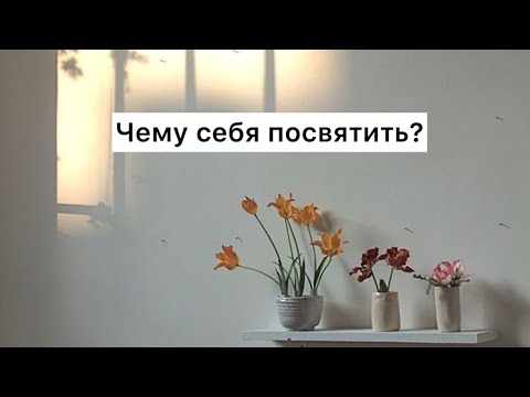 Видео: Чему себя посвятить? (Табиғат Қаутай)