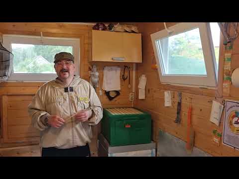 Видео: 🔴 Как подсадить матку в семью за ОДИН день. Пчеловодство для начинающих 2023 🔴