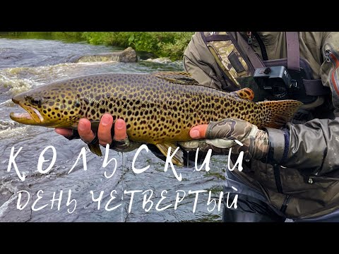 Видео: КОЛЬСКИЙ  2022, ЛУЧШАЯ РЫБАЛКА года! Поход на секретный ручей.