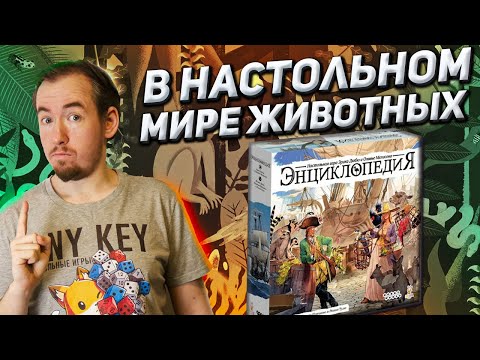 Видео: Обзор игры Энциклопедия