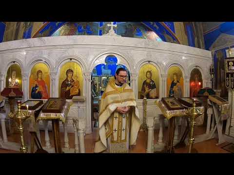 Видео: Неделя 21-я по Пятидесятнице Литургия 02-11-2025 Прямой эфир через restream.su