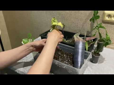 Видео: Рассказ о моем опыте продаж на Озон