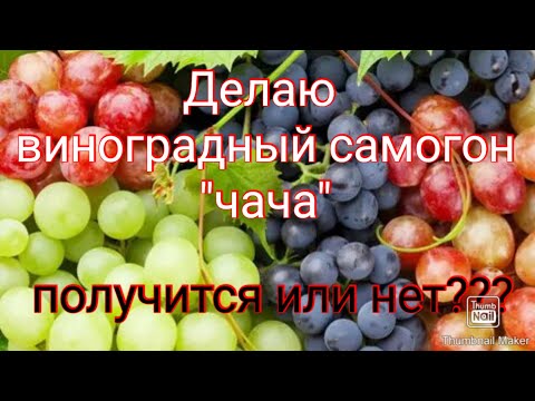 Видео: Сделал виноградный самогон | есть недочёты🍇