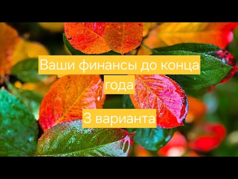 Видео: ВАШИ ФИНАНСЫ ДО КОНЦА ГОДА 💚 