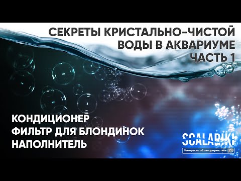 Видео: Секреты кристально-чистой воды в аквариуме.