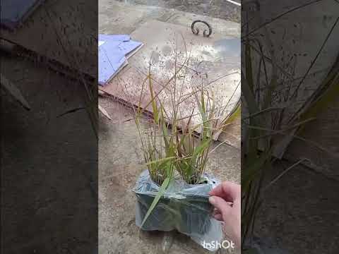 Видео: Розпаковка;)#