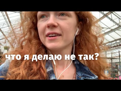 Видео: Опять недопонимание в автобусе. Блины в горшках. Любимые питомцы голландцев