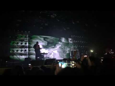 Видео: Луна - пальмира